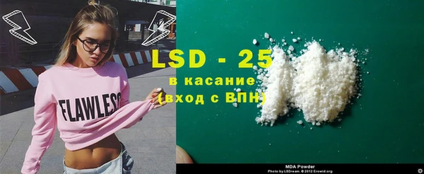 сатива Алзамай