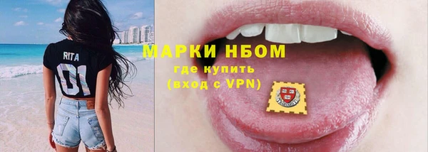 стафф Алексин