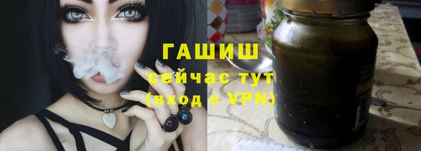 сатива Алзамай