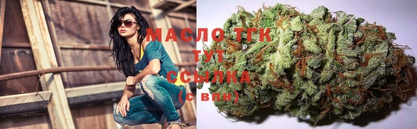 сатива Алзамай