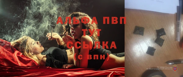 сатива Алзамай