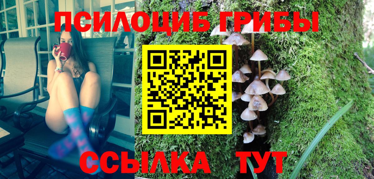 Аргун  Галлюциногенные грибы Psilocybine cubensis  Псилоцибиновые грибы MAGIC MUSHROOMS  Вход с VPN 